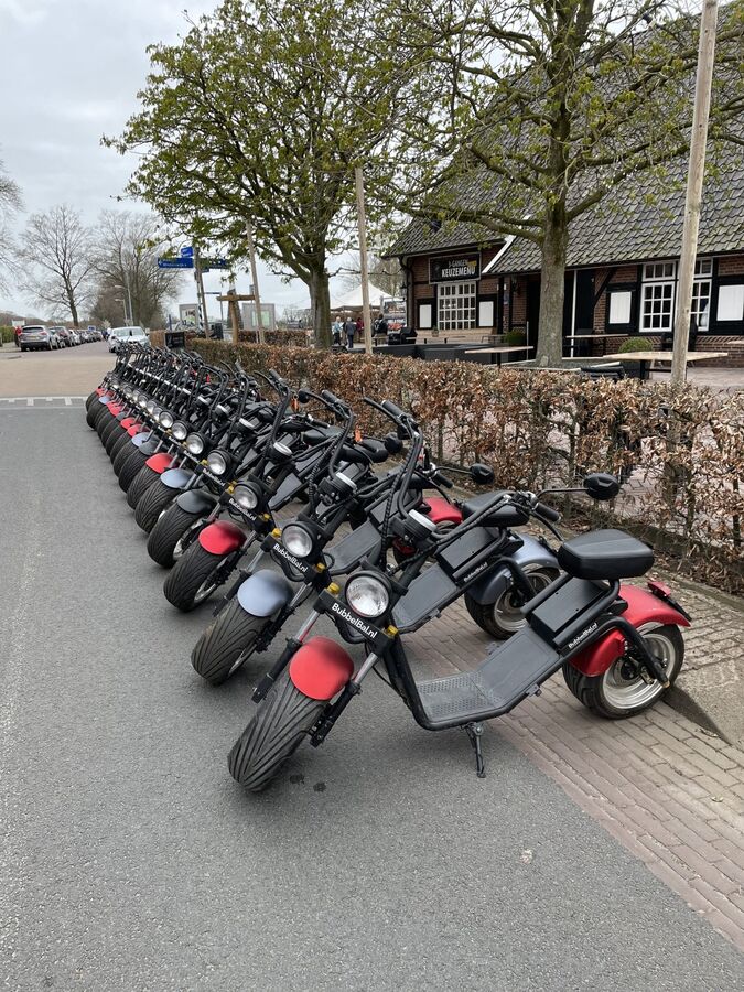E-Choppers